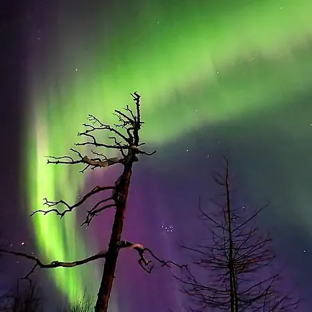 Lejlighed Neitamo44 *