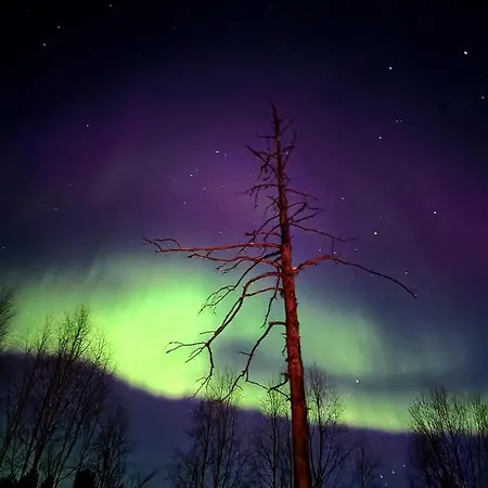 Neitamo44 Lejlighed *