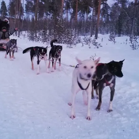 Lejlighed Neitamo44 Ivalo